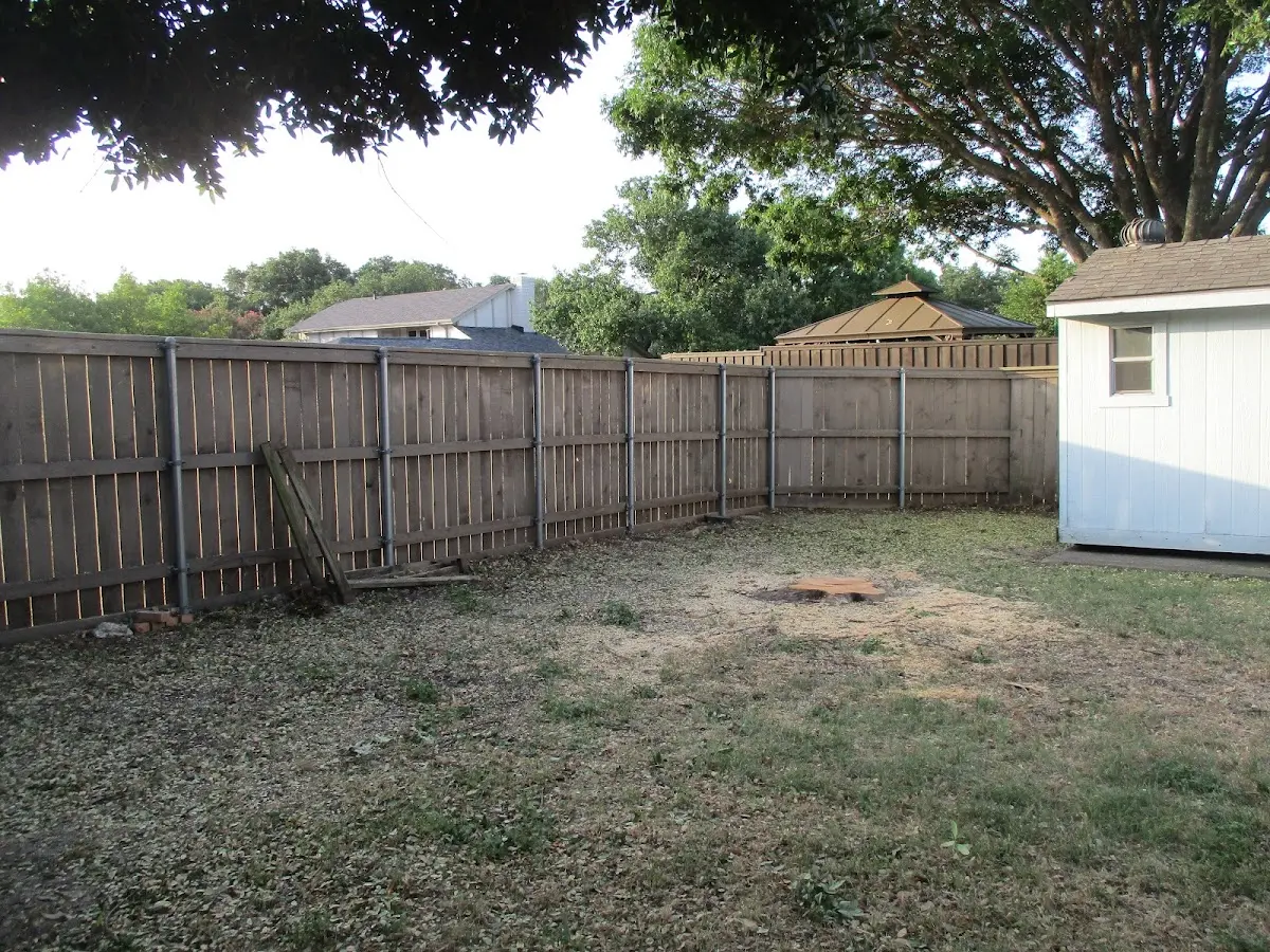 Cleared yard after professional tree removal in Booneville